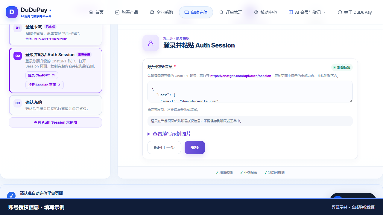 Auth Session 填写界面示例，使用合成数据